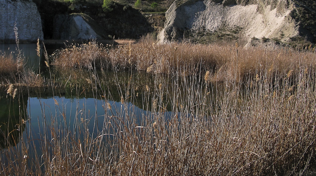 En las llanuras del sur y sudeste, próximas a los cauces de los ríos Jarama, Henares y Manzanares, hay multitud de lagunas. Algunas son naturales y pueden secarse en verano; otras han sido rellenadas por las aguas subterráneas y se han formado como consecuencia de la extracción de áridos y gravas. La caliza madrileña se conoce como “caliza del páramo” y puede presentar diferentes colores o tonos. Se utiliza como piedra de construcción y para la obtención de cal Esas lagunas son de gran importancia ecológica ya que en sus márgenes crece la vegetación palustre (carrizos, juncos y espadañas), que sirve de refugio y descanso a muchas aves migratorias