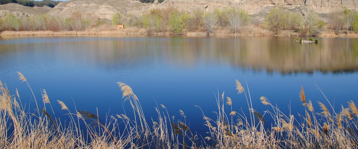 Lagunas del Parque del Sureste (frente a Rivas)