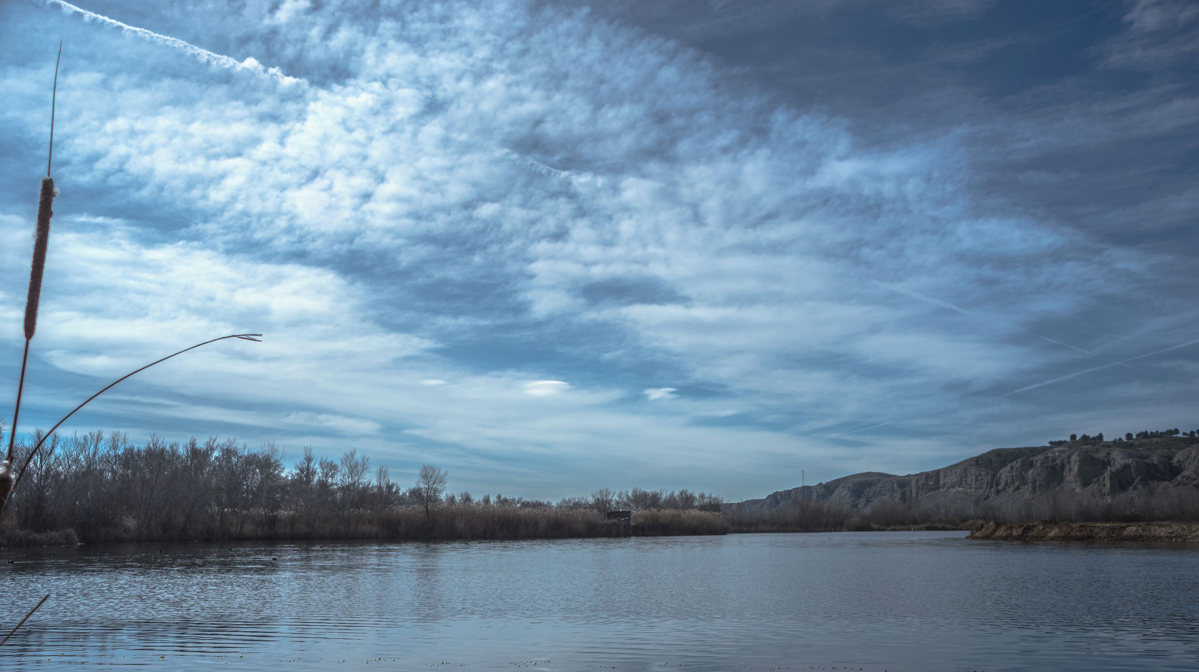 Soto de las Juntas (Madrid)