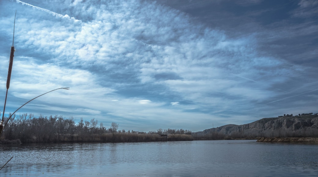 Soto de las Juntas (Madrid)
