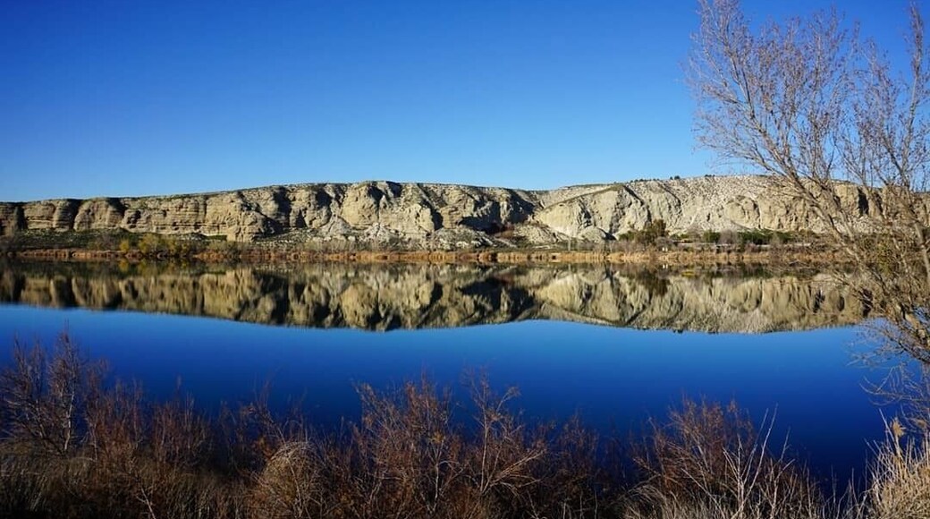 Laguna del Campillo is a great place for a weekend walk close to the city. It's a protected area due to the amount of birds you can find here.
#Madrid #Spain #nature #outdoors #birdwatching