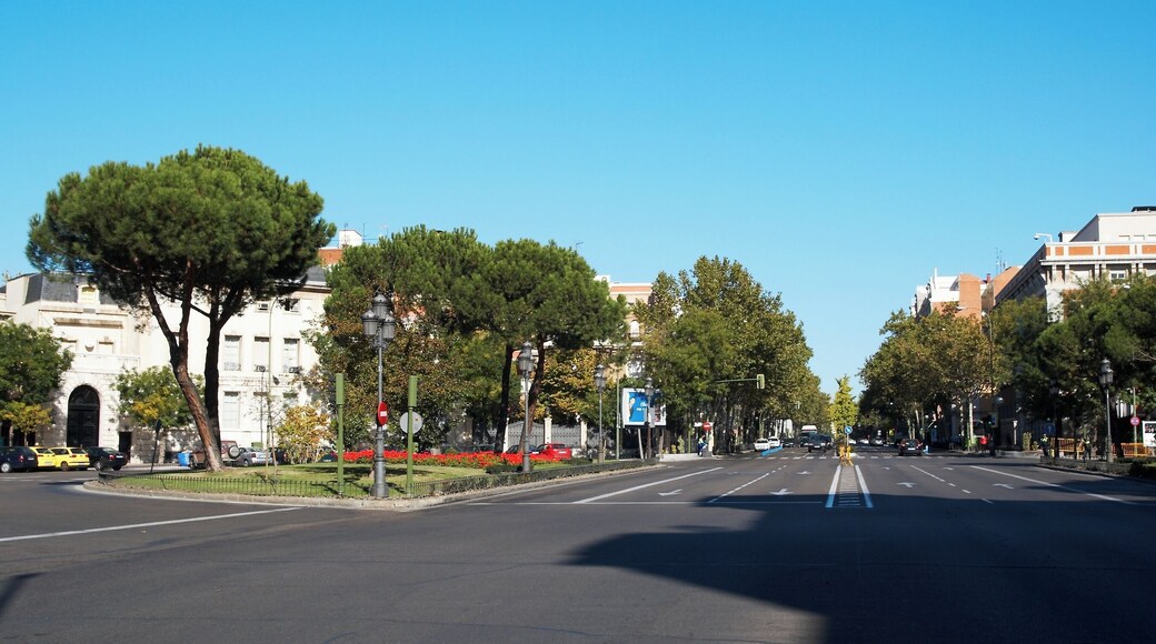 Plaza del Marqués de Salamanca y calle Príncipe de Vergara, Madrid.