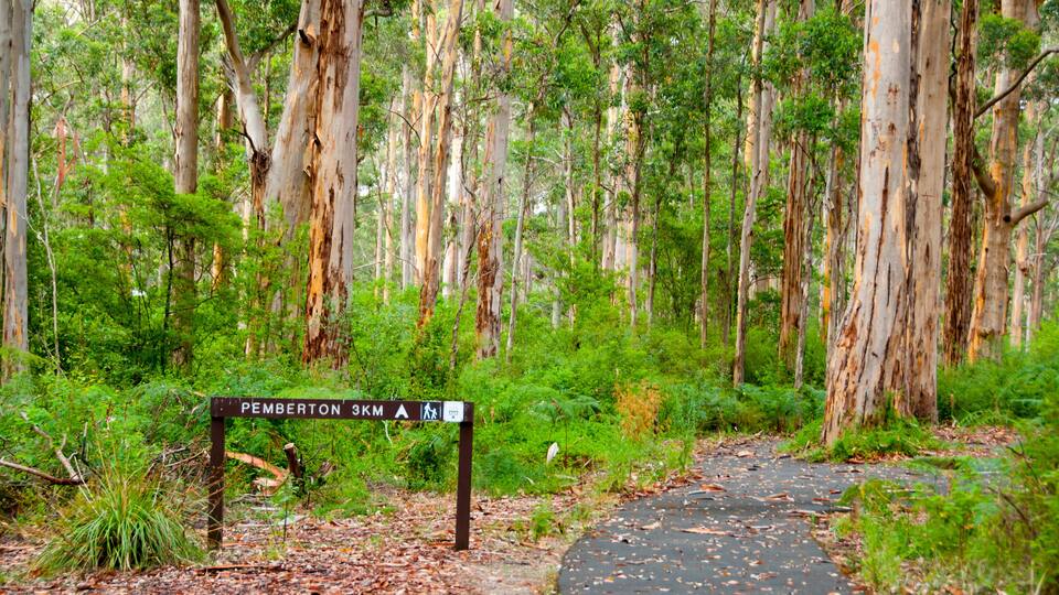 A forested area with a sign indicating 'Pemberton 3KM'.