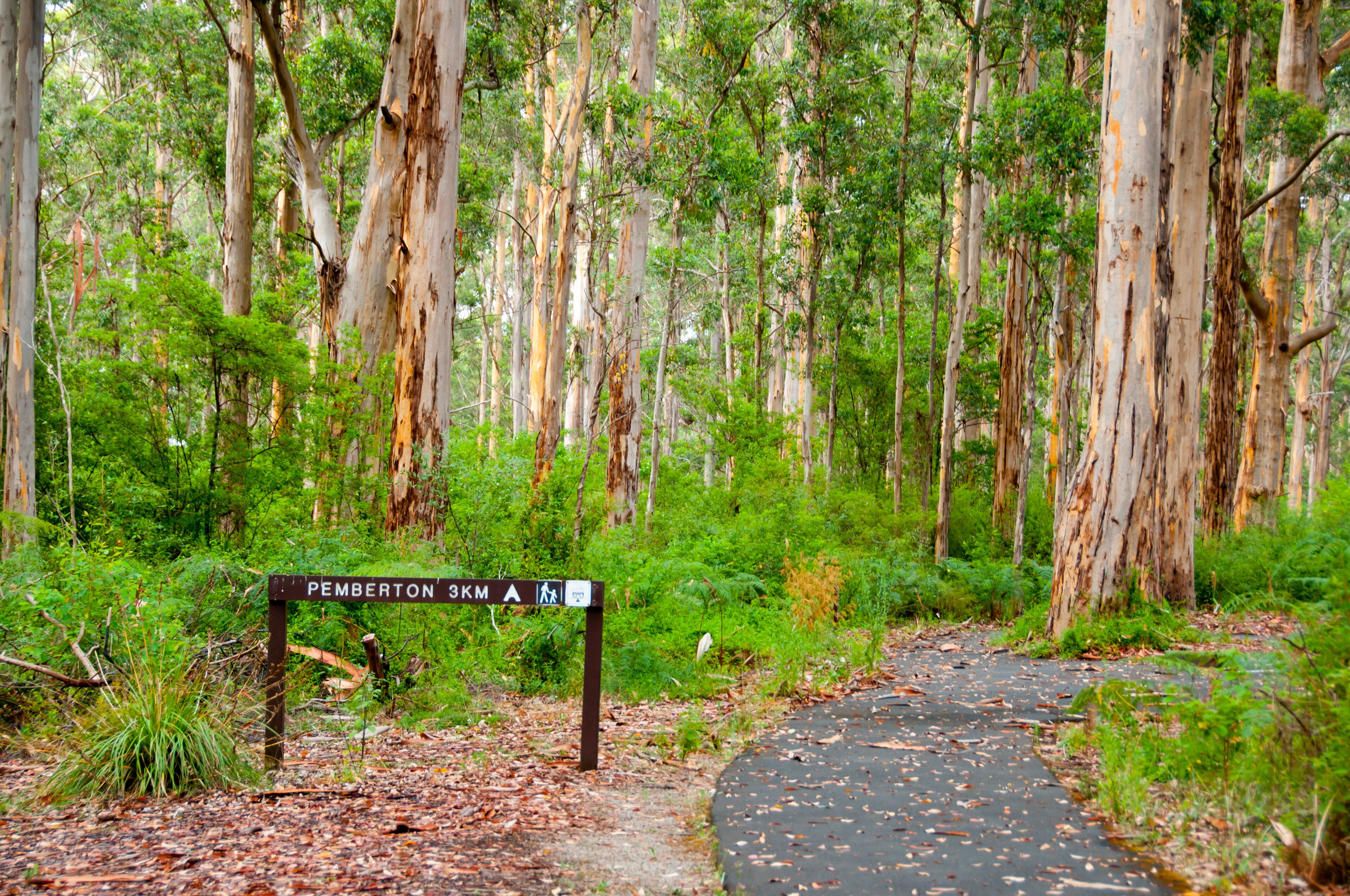 A forested area with a sign indicating 'Pemberton 3KM'.