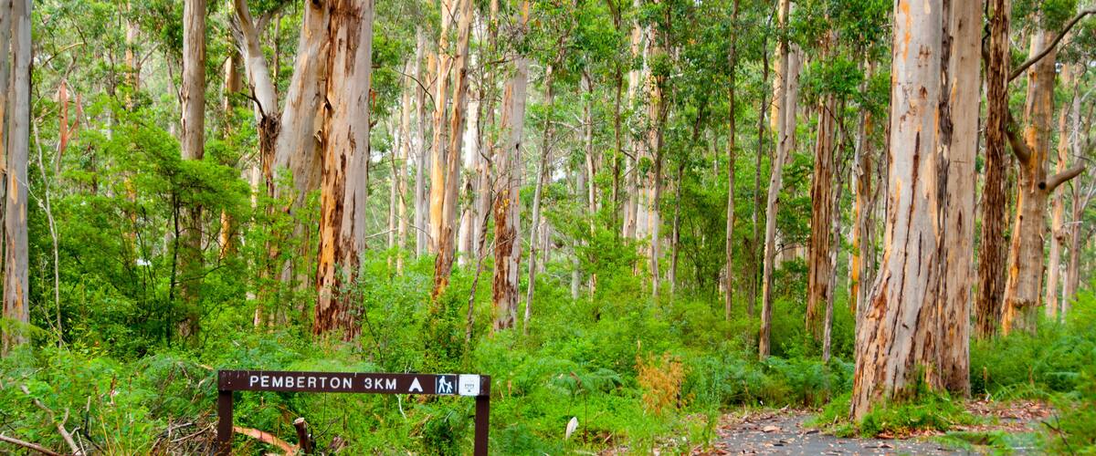 A forested area with a sign indicating 'Pemberton 3KM'.