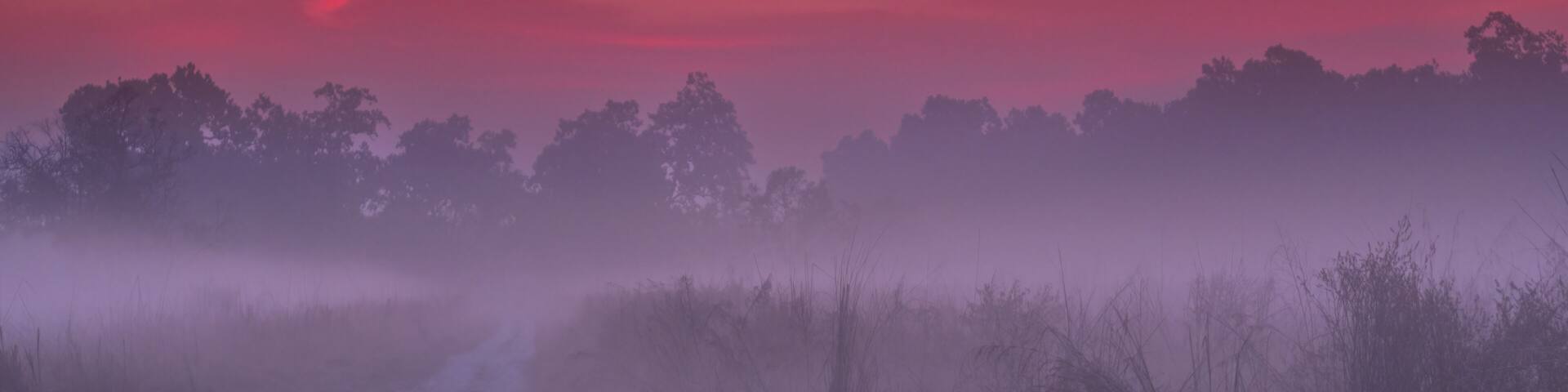 A foggy dawn at Jim Corbett National Park grasslands with brilliantly colourful pre-sunrise skies