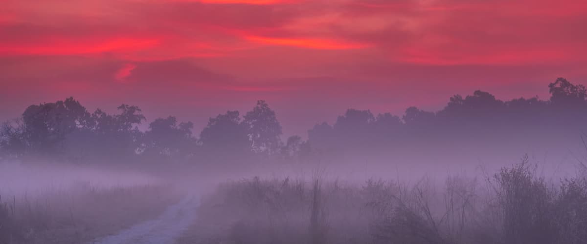 A misty landscape with a path leading through a forest under a vibrant red sky.