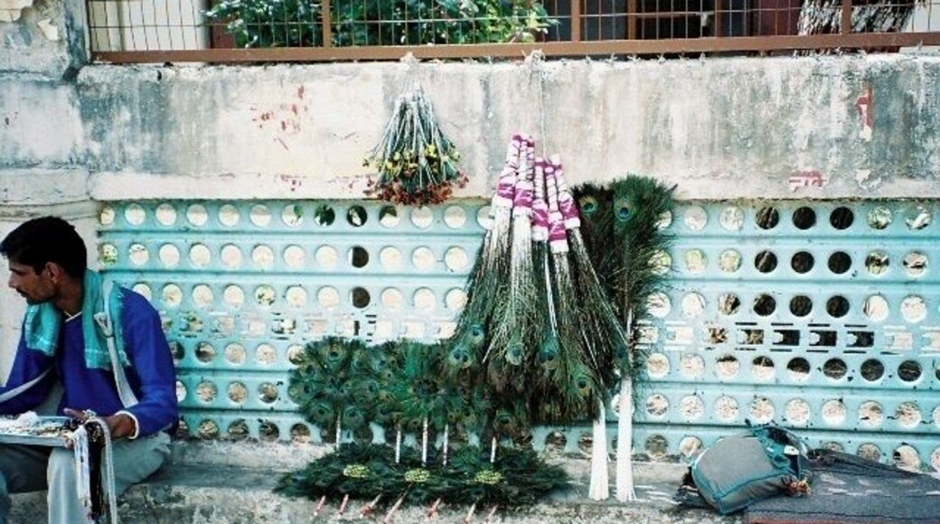 Street vendors selling peacock feathers in Rishikesh #LifeAtExpediaGroup