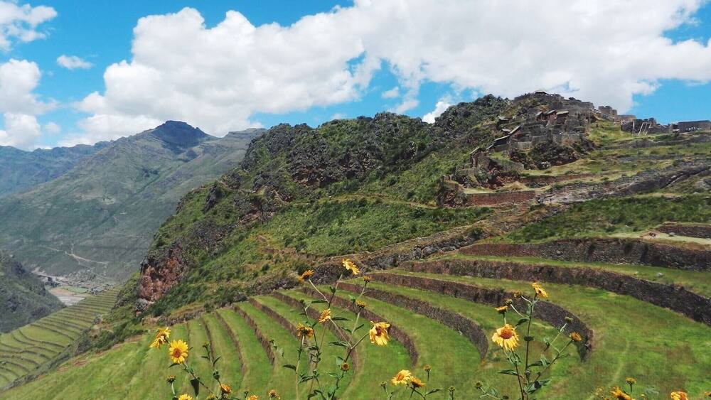 Des rizières en terrasses, un paysage montagneux et un ciel dégagé.