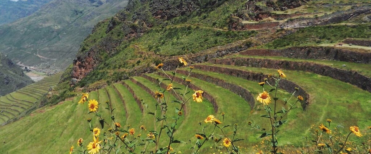 Terraced fields, a mountainous landscape, and a clear sky.