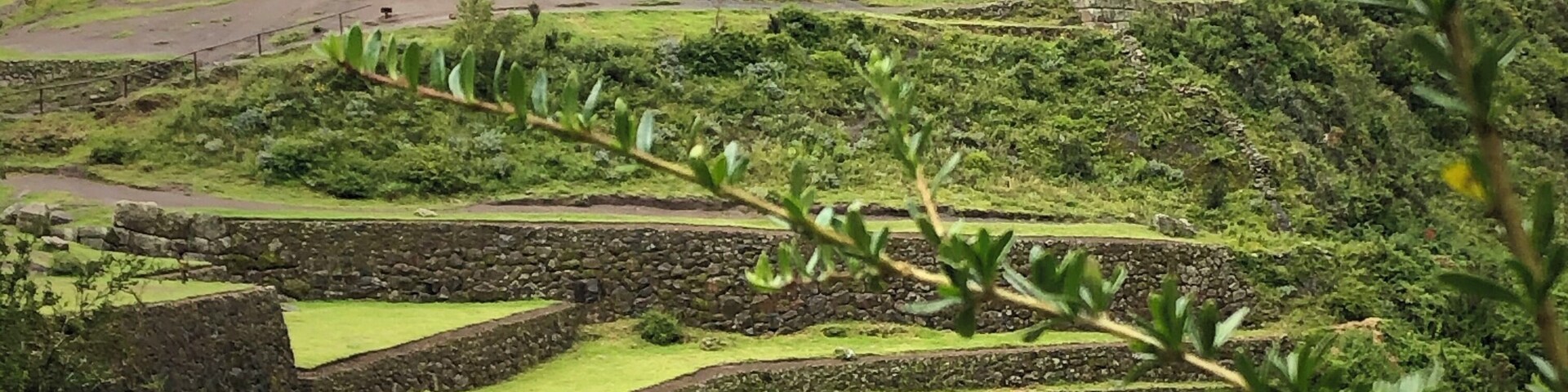 Climbing to 11,500 feet at the Pisac ruins to get this view. Stunning!
