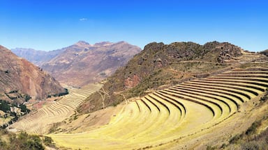 Another ruins site not far from the Incan Capital of Cusco. The terraces are impressive!