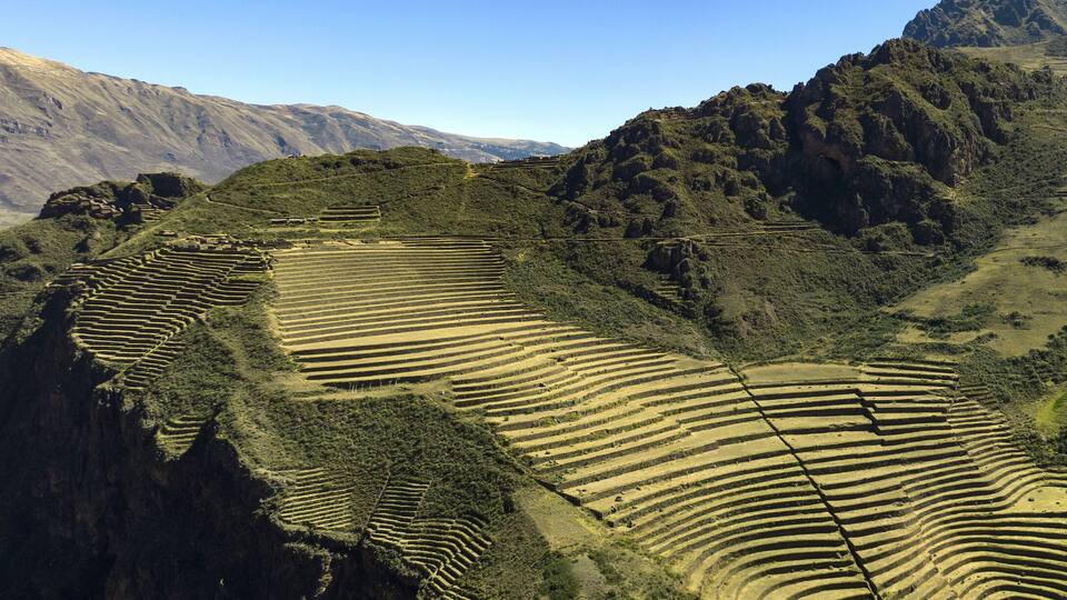 Terraced agricultural fields on a hillside with mountains in the background.