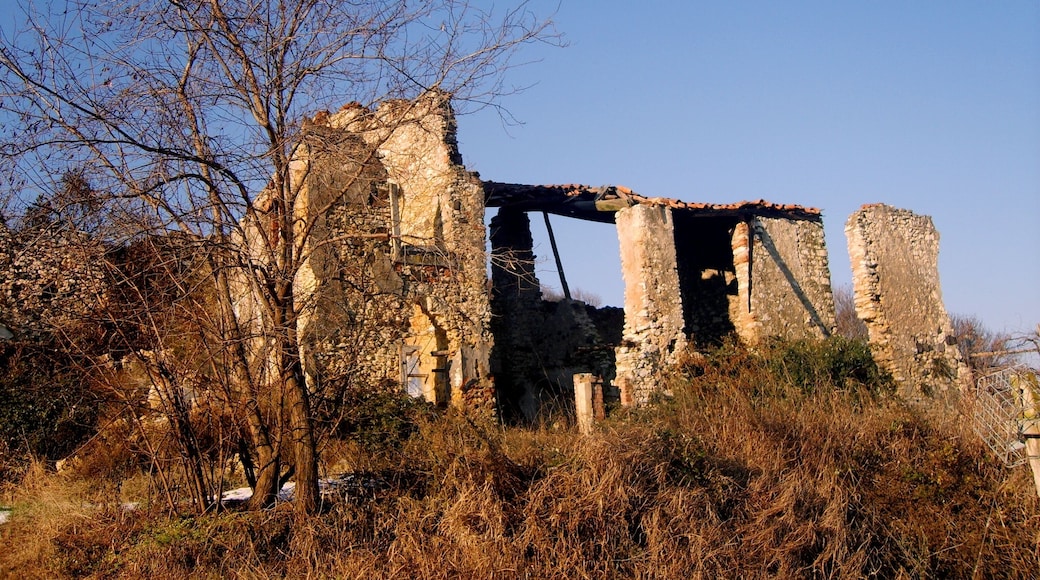 Rural ruins south-west side