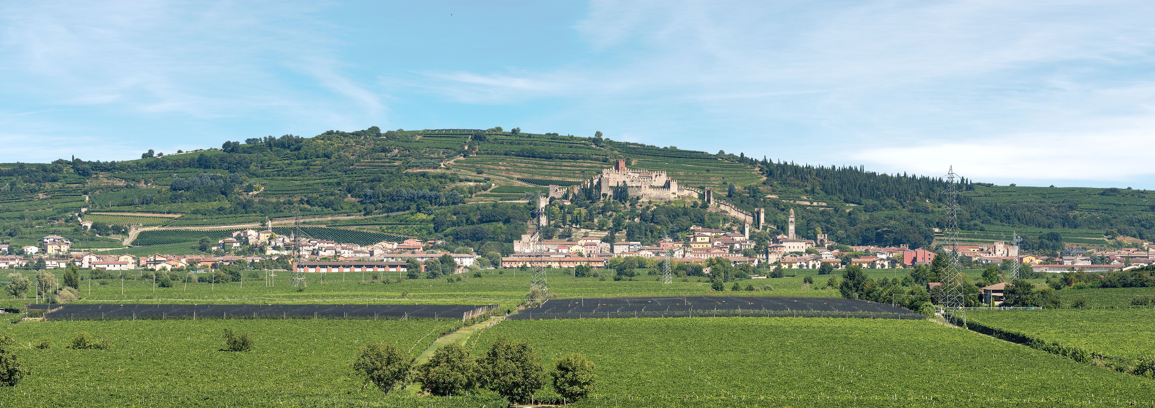 Soave