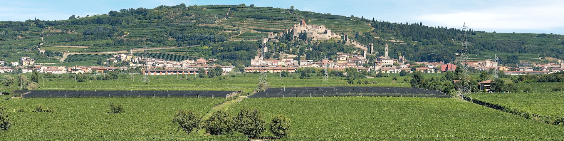 Soave village - Verona province - Veneto Italy
