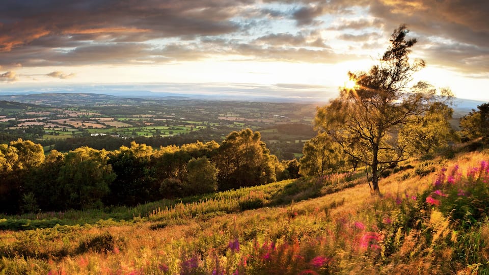 A panoramic view of a hilly landscape with a forested area and fields.