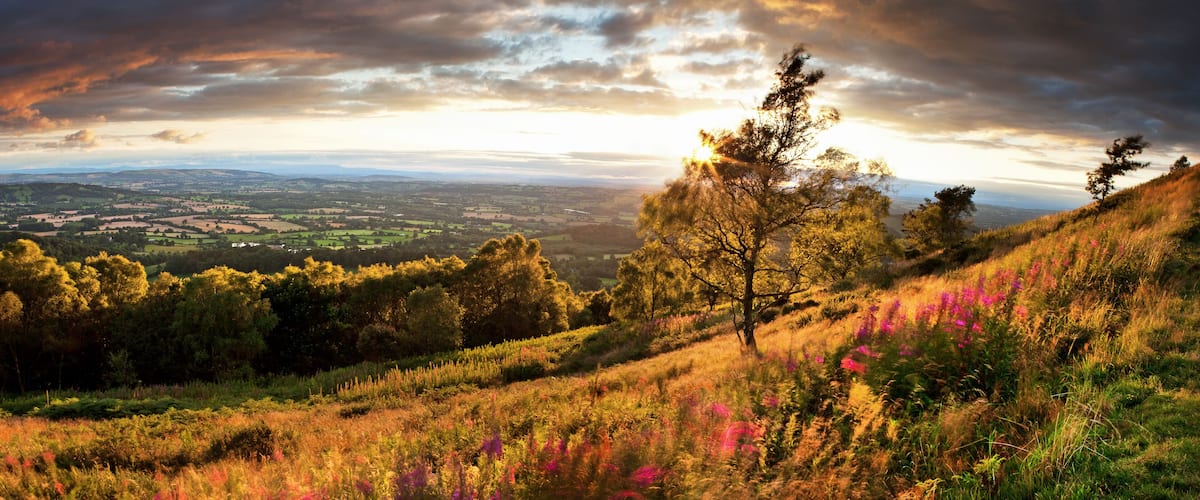 A panoramic view of a hilly landscape with a forested area and fields.