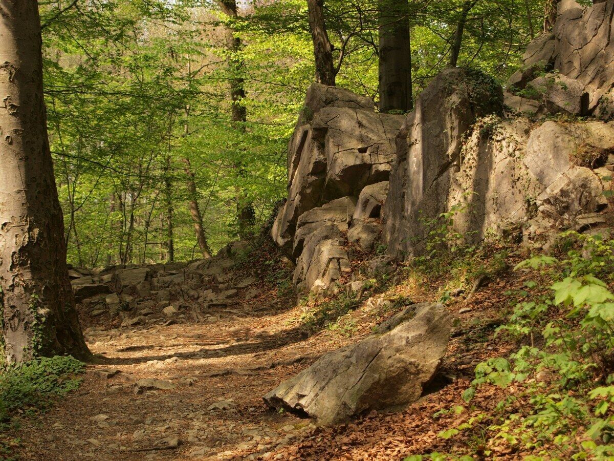 2011-04-22-142553_50,734847; 6,177337.JPG