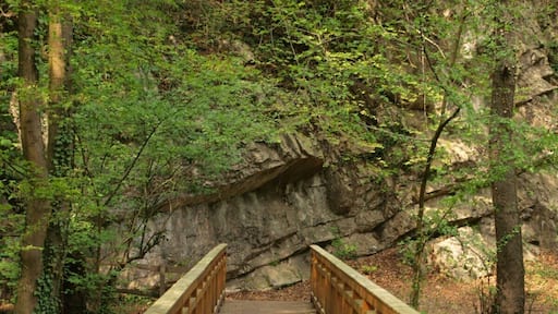 2011-04-22-142238_50,734847; 6,177337.JPG