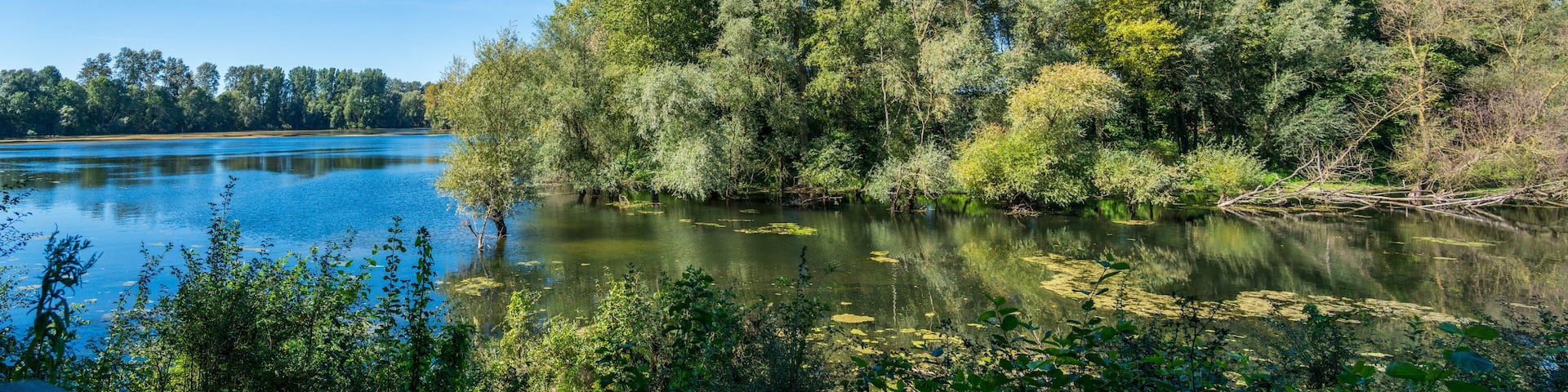 Bislicher Insel Nature Reserve, Xanten, Germany
