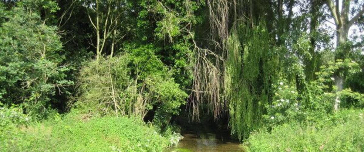 River Misbourne in Denham Country Park The Misbourne is a chalk stream that rises northwest of Great Missenden in SP8902 and runs for about 23 kilometres, as the crow flies, before ending where it joins the River Colne in TQ0585. Here, only about 1 kilometre upstream of the confluence with the Colne, it is still very shallow. This view was taken from the Denham Court Drive bridge.