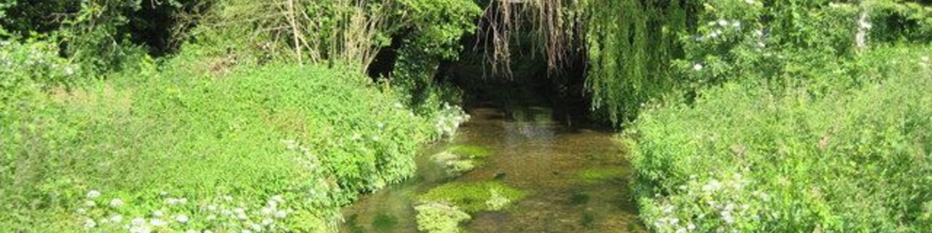 River Misbourne in Denham Country Park The Misbourne is a chalk stream that rises northwest of Great Missenden in SP8902 and runs for about 23 kilometres, as the crow flies, before ending where it joins the River Colne in TQ0585. Here, only about 1 kilometre upstream of the confluence with the Colne, it is still very shallow. This view was taken from the Denham Court Drive bridge.