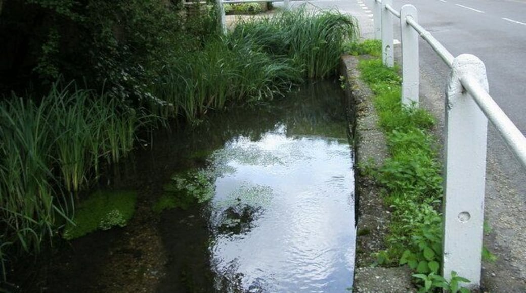 Stream by Village Road Stream by Village Road near junction with Cheapside Lane