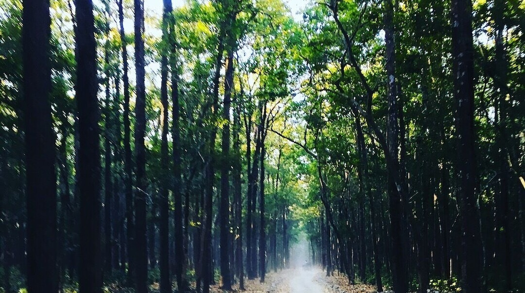 Home to elephants and leopards, along with hundreds of species of birds. Enjoy nature / forest on an open jeep 🚙 Jim Corbett national park is a forested wildlife sanctuary.
#lifeatexpedia