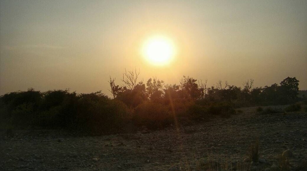 While scouring the park for fauna amidst the thick flora, little did we know that this beautiful site awaited us in all its glory.
#amazingsunsets #beautifulindia #bruisedpassports