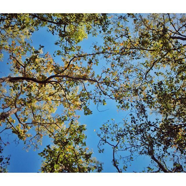 One day,
the notifications will stop.
Your viral post will disappear,
somewhere in the huge pile,
of viral posts.
You’ll be opening one app,
after the other.
Checking each e-mail inbox,
you ever created.
Looking for any sign of contact,
in the form of likes,
or even dislikes.

Panic.
Suffocation.
Restlessness.

Slowly, comes the realization,
that everyone left.
They moved on,
got out of the virtual cloud,
and embraced the real lives.
No one misses you,
no one cares.
You don’t even exist.

You’ve been left behind,
scrolling through Facebook,
amused by the retweets,
choosing emoticons,
for the next snapchat.
Talking to yourself,
in a delusion,
that they’re listening.
But everyone’s gone.
To a world,
that’s far from yours.
Leaving you in a place,
that used to be over-crowded.

Scary is it?
So, close those tabs.
Leave the screen for a while.

Pick up something else – a book,
a paint brush, a ball, a cat, a whisk,
a chessboard, a pen, a baby,
a conversation.
You can’t run out of options.
There are too many.
Go. Connect. For real.
Because one day,
the notifications will stop.

Ironically, I have to say this through the screen,
Because that’s how you listen.

#longcaption #uttarakhand #lookup #indiapictures #writersofinstagram  #writingcommunity #jimcorbett #mypixeldiary #dailyescape #connect #aprilphotochallenge #livethelittlethings #mytraveldiary #lookupseason #theartofslowliving #seekthesimplicity #igramming_india #indiatravel #lostinthought #mysimpleclick #captionoftheday #reflections #Blue #greatoutdoors #travelstories #writing #hippieinhills #ramblings #wearetravelgirls #inspiredtraveller #traveluttarakhand