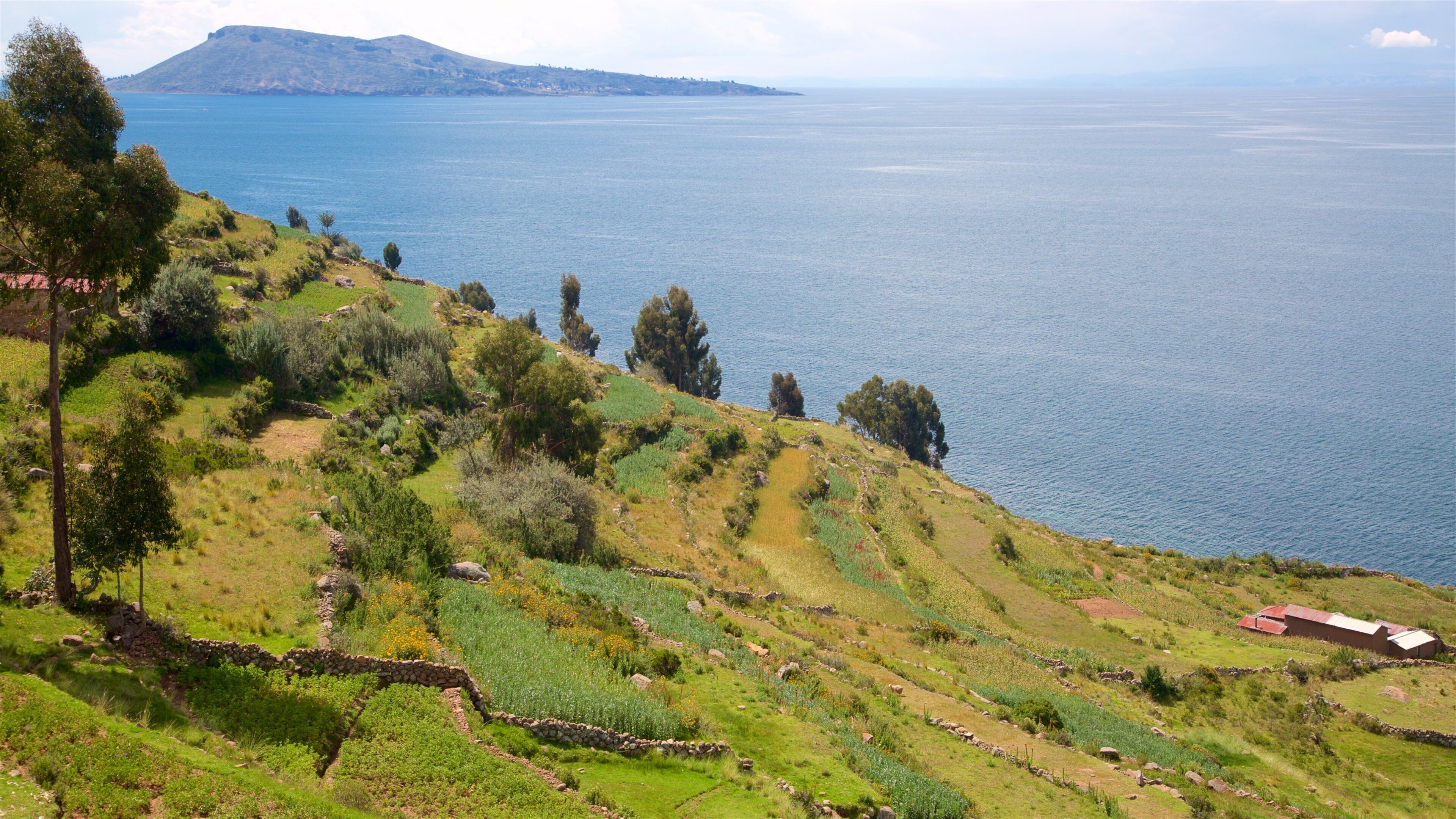 Lake Titicaca 表示 海岸線の眺め, 農地 と 自然の風景