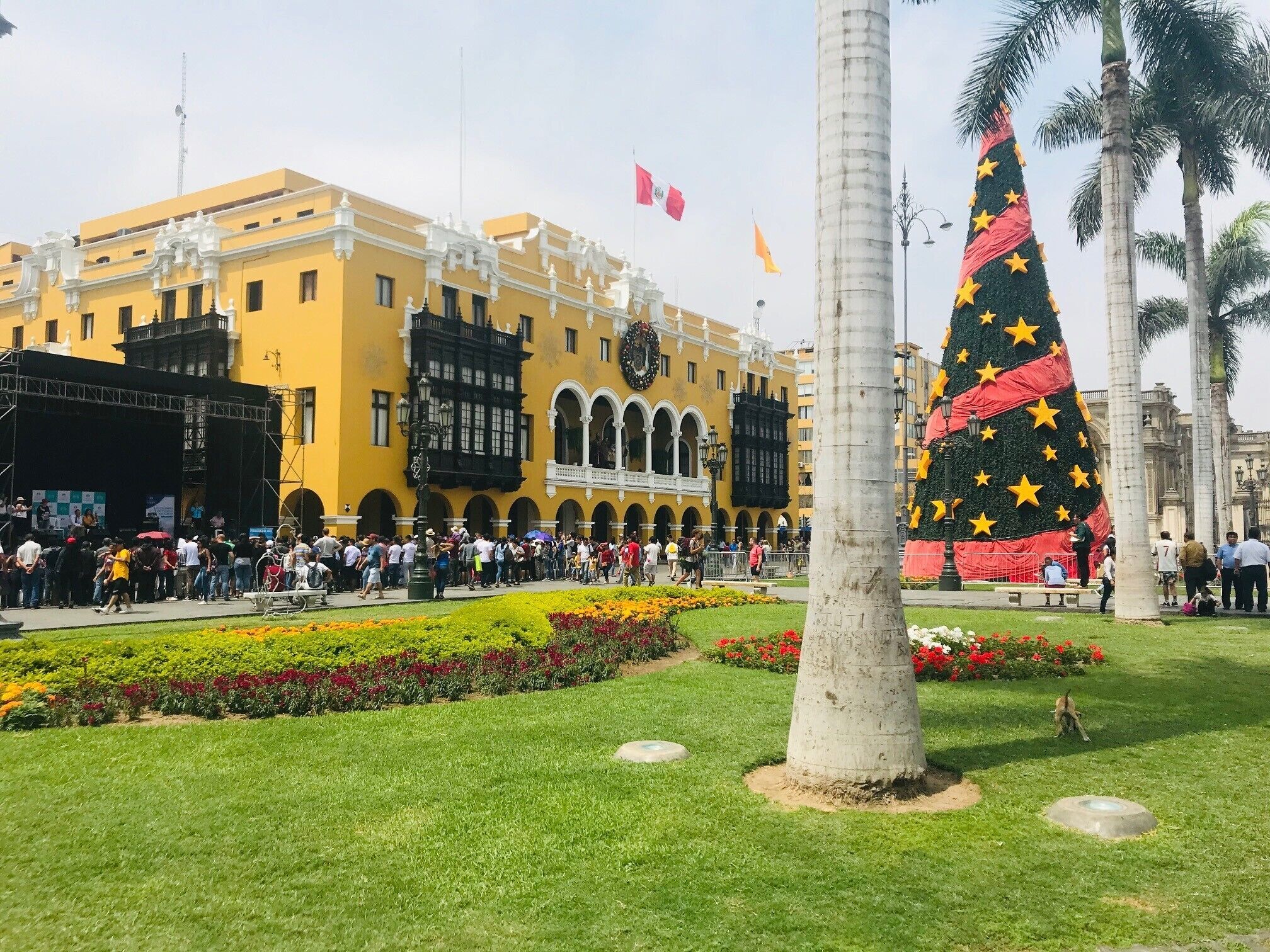 Una plaza con un gran árbol de Navidad, edificios amarillos y gente reunida.