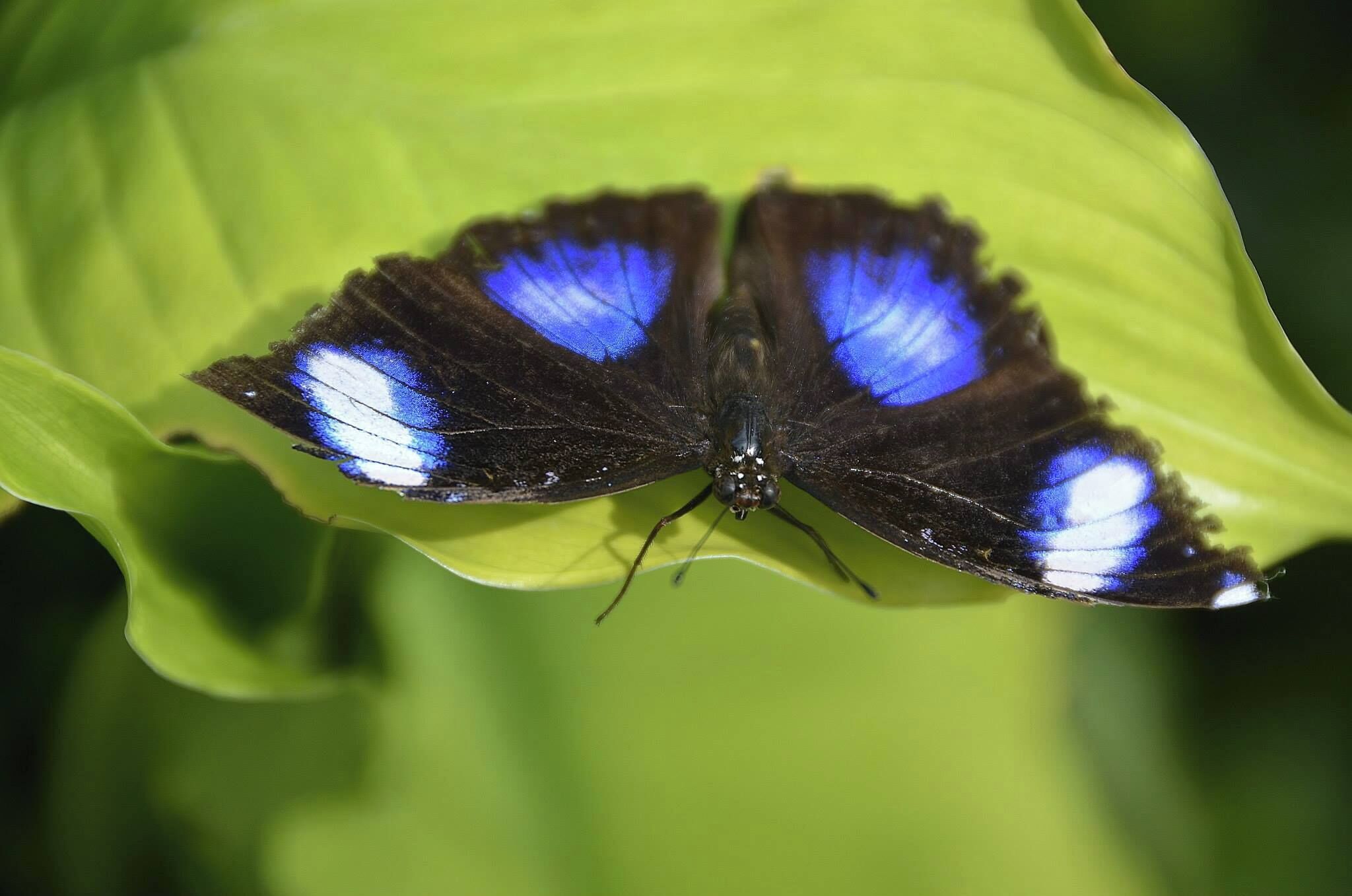 Whitchurch, Ross-on-Wye. UK 