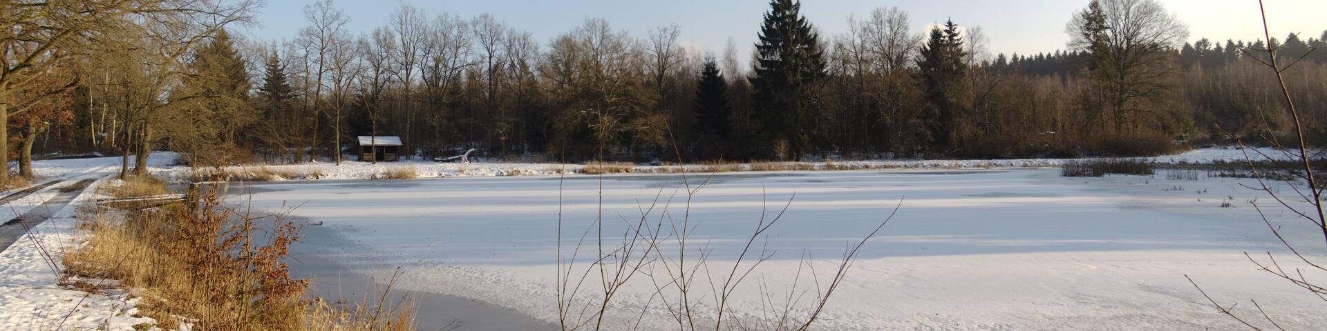"Merschroeder Teich" in Romrod east of Strebendorf, Hesse, Germany