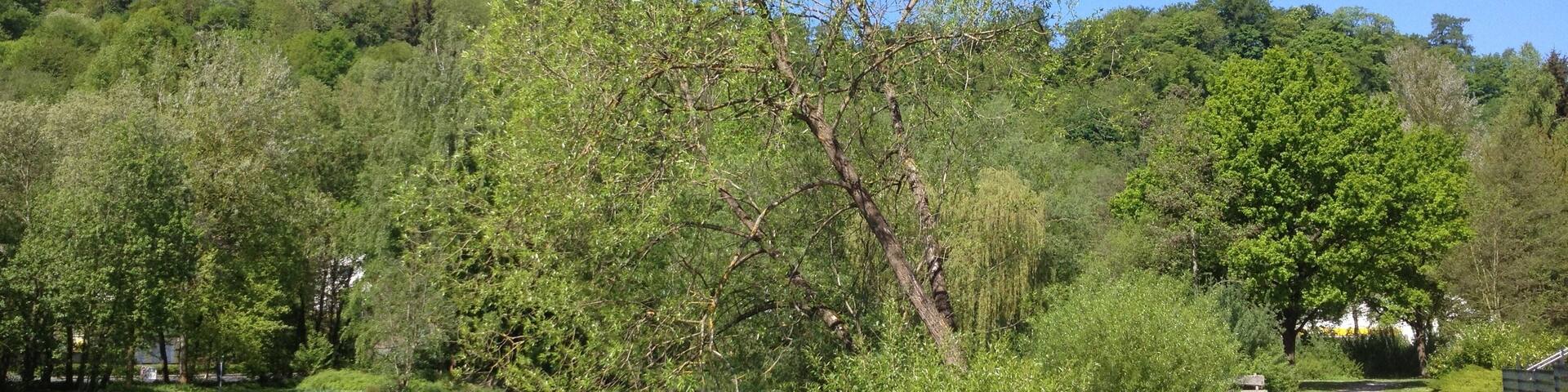 Der Landschaftspark Elbetal in Naumburg (Hessen), Habichtswaldsteig / Eco Pfad Archäologie Naumburg
