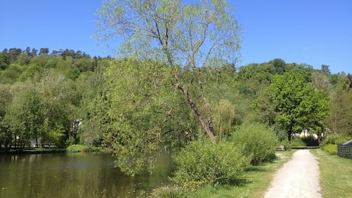 Der Landschaftspark Elbetal in Naumburg (Hessen), Habichtswaldsteig / Eco Pfad Archäologie Naumburg