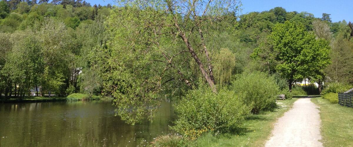 A dirt path beside a calm lake, surrounded by lush greenery and trees.
