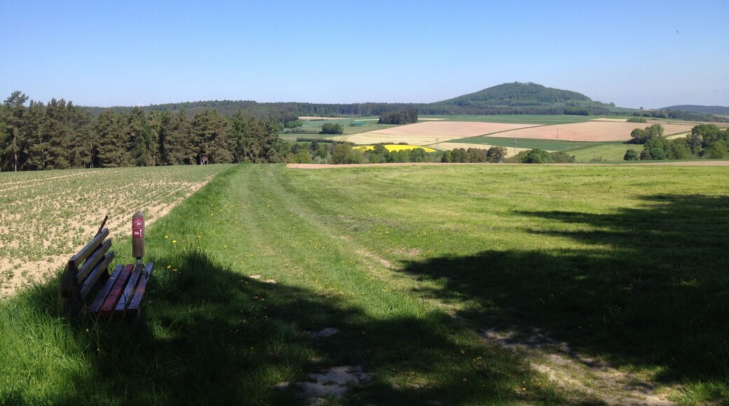 Der Habichtswaldsteig und der Eco Pfad Archäologie Naumburg auf Wiesenwegen westlich von Naumburg (Hessen) mit Blick über den Wintersgrund zur Weidelsburg