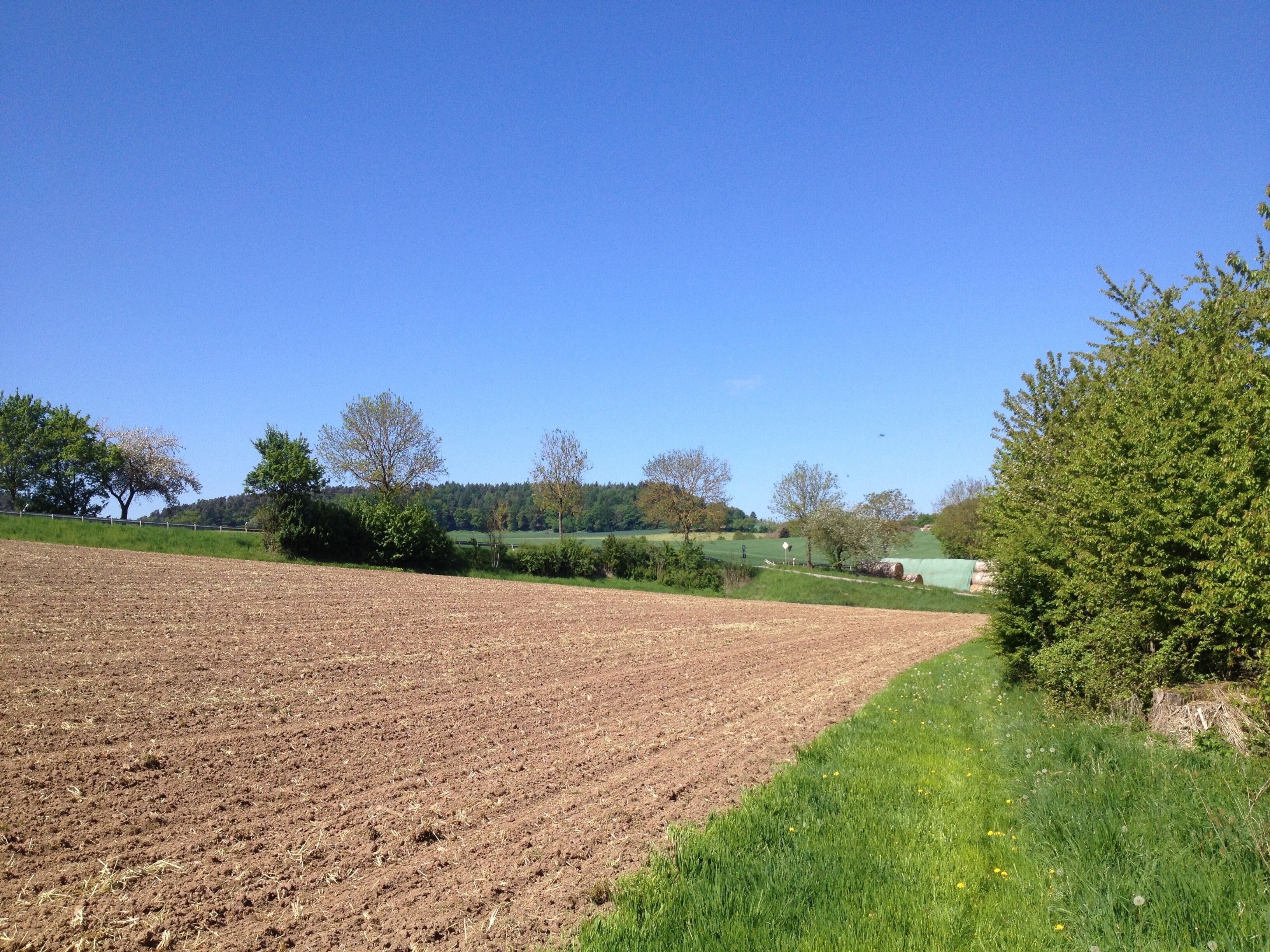 Wiesenweg / Stichweg zur Station / Informationstafel "Wüstung Immenhausen" des Eco Pfades Archäologie Naumburg