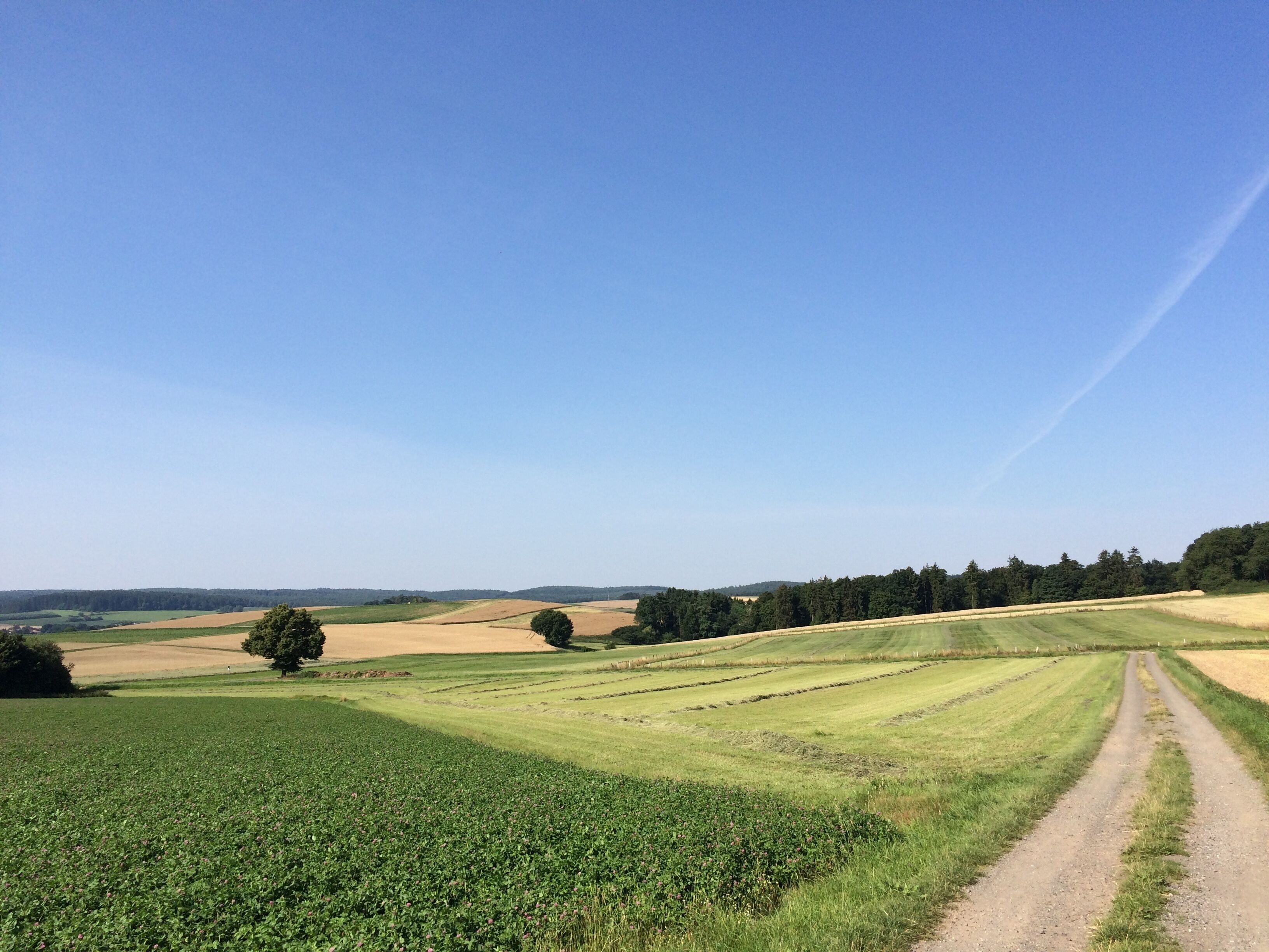 Der Volkmarser Weg (V) zwischen der Naumburger Warte (Habichtswaldsteig) und der Straße "Am Bruch", bzw. der "Bahnhofstraße" (Landesstraße 3215)