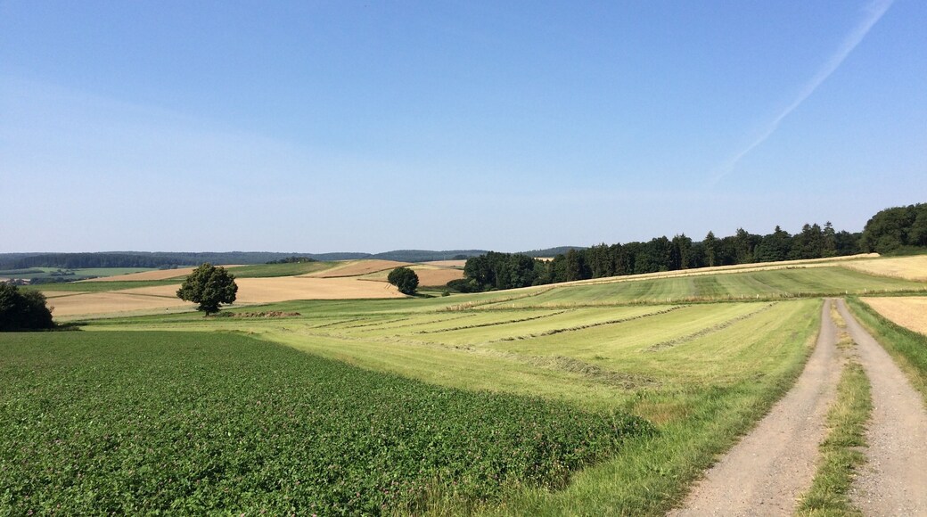 Der Volkmarser Weg (V) zwischen der Naumburger Warte (Habichtswaldsteig) und der Straße "Am Bruch", bzw. der "Bahnhofstraße" (Landesstraße 3215)