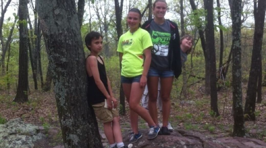 Taum Sauk Mountain in located in the St.Francis mountain range of south/central Missouri. It's also the highest point in Missouri. My kids are standing at the spot where the actual marker sign in