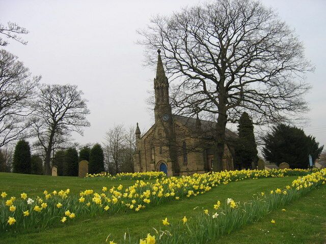 A church surrounded by a field of yellow daffodils.