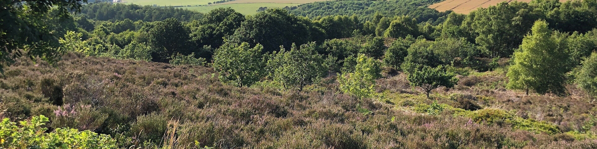 Lovely walking with great views across the fell