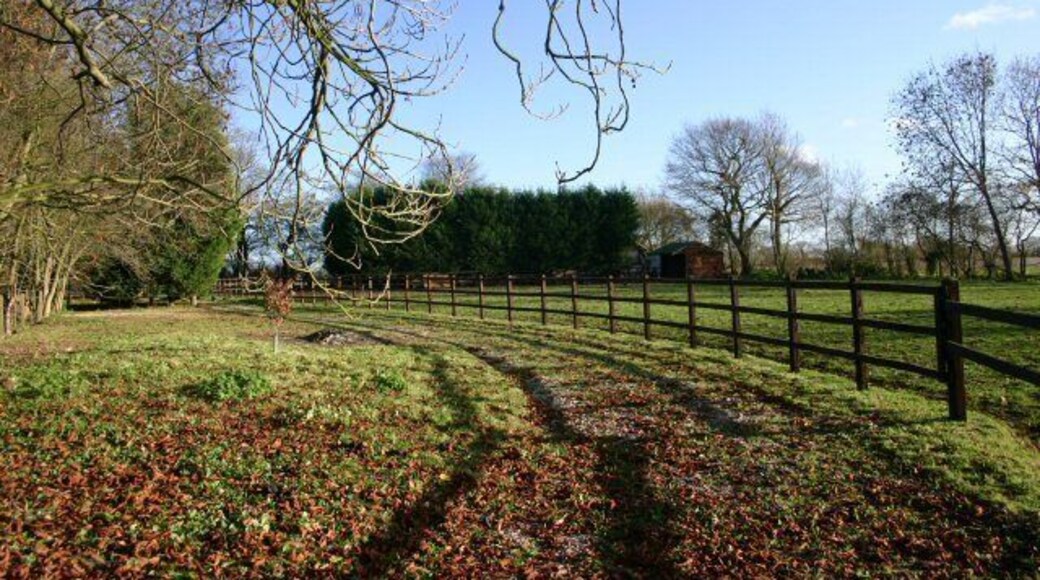 The Knole, Claydon Paddocks alongside the minor road linking Claydon and Henley.