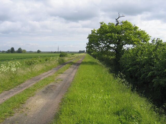 Utton's Drove, Swavesey, Cambs.  view NE along a straight inclosure road dating from about 1840.