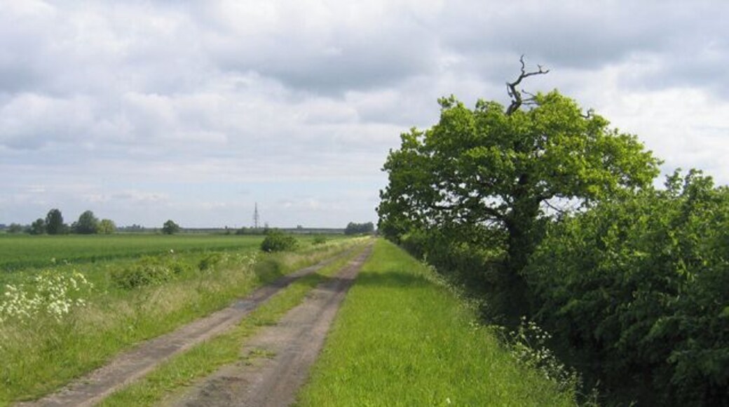 Utton's Drove, Swavesey, Cambs. view NE along a straight inclosure road dating from about 1840.