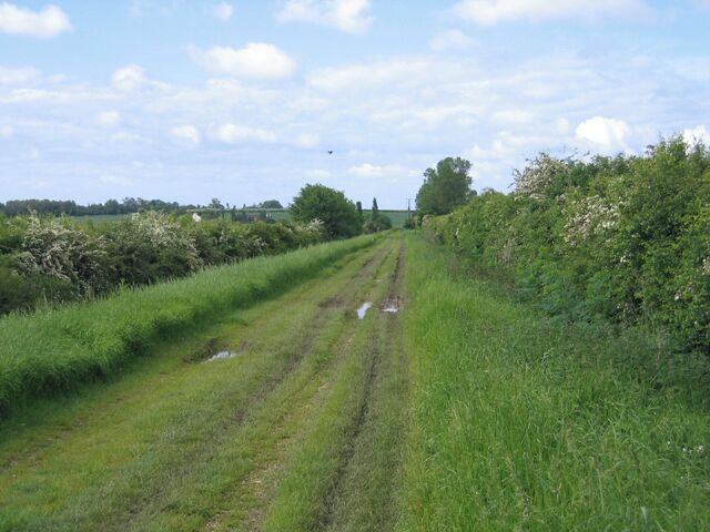 Utton's Drove, Swavesey, Cambs.  view SW towards the A14.