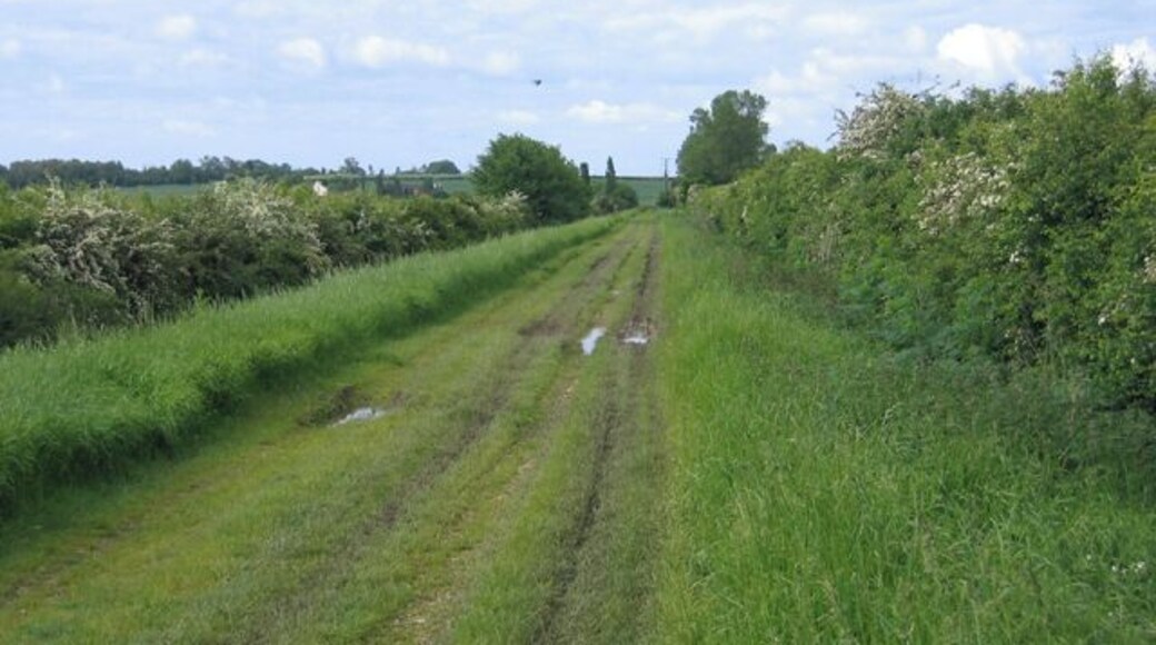 Utton's Drove, Swavesey, Cambs. view SW towards the A14.